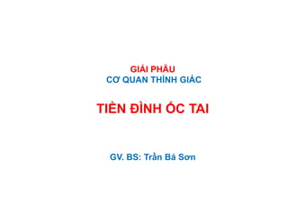 GIẢI PHẪU
CƠ QUAN THÍNH GIÁC
TIỀN ĐÌNH ỐC TAI
GV. BS: Trần Bá Sơn
 