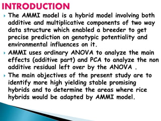  The AMMI model is a hybrid model involving both
additive and multiplicative components of two way
data structure which enabled a breeder to get
precise prediction on genotypic potentiality and
environmental influences on it.
 AMMI uses ordinary ANOVA to analyze the main
effects (additive part) and PCA to analyze the non
additive residual left over by the ANOVA .
 The main objectives of the present study are to
identify more high yielding stable promising
hybrids and to determine the areas where rice
hybrids would be adapted by AMMI model.
 
