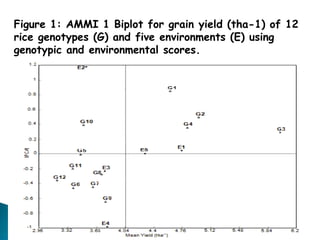 Figure 1: AMMI 1 Biplot for grain yield (tha-1) of 12
rice genotypes (G) and five environments (E) using
genotypic and environmental scores.
 