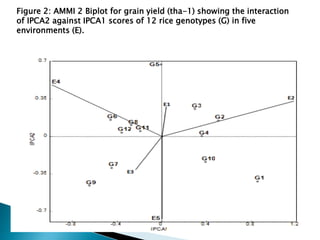 Figure 2: AMMI 2 Biplot for grain yield (tha-1) showing the interaction
of IPCA2 against IPCA1 scores of 12 rice genotypes (G) in five
environments (E).
 
