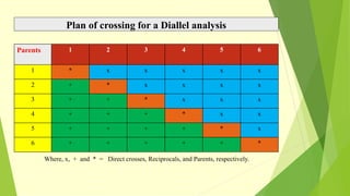 Plan of crossing for a Diallel analysis
Wwww
Parents 1 2 3 4 5 6
1 * x x x x x
2 + * x x x x
3 + + * x x x
4 + + + * x x
5 + + + + * x
6 + + + + + *
Where, x, + and * = Direct crosses, Reciprocals, and Parents, respectively.
 