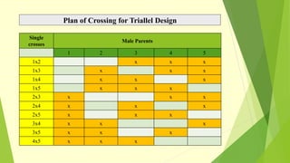 Plan of Crossing for Triallel Design
Single
crosses
Male Parents
1 2 3 4 5
1x2 x x x
1x3 x x x
1x4 x x x
1x5 x x x
2x3 x x x
2x4 x x x
2x5 x x x
3x4 x x x
3x5 x x x
4x5 x x x
 