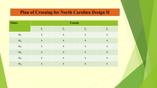 Plan of Crossing for North Carolina Design II
Males Female
f1 f2 f3 f4
m1 x x x x
m2 x x x x
m3 x x x x
m4 x x x x
m5 x x x x
m6 x x x x
 
