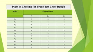 Plant of Crossing for Triple Test Cross Design
Males Female Plants
P1 P2 F1
m1 x x x
m2 x x x
m3 x x x
m4 x x x
m5 x x x
m6 x x x
m7 x x x
m8 x x x
m9 x x x
m10 x x x
m11 x x x
 