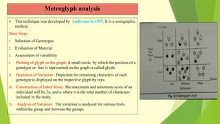 Metroglyph analysis
 This technique was developed by Anderson in 1957. It is a semigraphic
method.
Main Steps
1. Selection of Genotypes
2. Evaluation of Material
3. Assessment of variability
I. Plotting of glyph on the graph: A small circle by which the position of a
genotype or line is represented on the graph is called glyph.
II. Depiction of Variation : Depiction for remaining characters of each
genotype is displayed on the respective glyph by rays.
III. Construction of Index Score: The maximum and minimum score of an
individual will be 3n, and n where n is the total number of characters
included in the study.
IV. Analysis of Variation: The variation is analysed for various traits
within the group and between the groups.
 