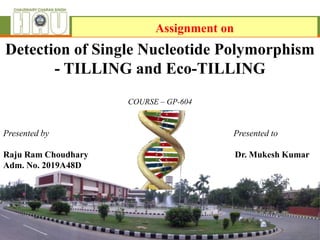 Detection of Single Nucleotide Polymorphism
- TILLING and Eco-TILLING
COURSE – GP-604
Presented by Presented to
Raju Ram Choudhary Dr. Mukesh Kumar
Adm. No. 2019A48D
Assignment on
 