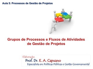 Aula 5: Processos de Gestão de Projetos
Grupos de Processos e Fluxos de Atividades
de Gestão de Projetos
Elaboração:
Prof. Dr. E. A. Capuano
Especialista em Políticas Públicas e Gestão Governamental
 