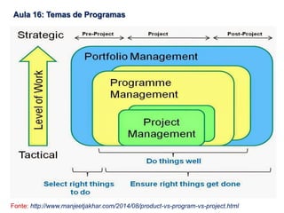 Fonte: http://www.manjeetjakhar.com/2014/08/product-vs-program-vs-project.html
Aula 16: Temas de Programas
 