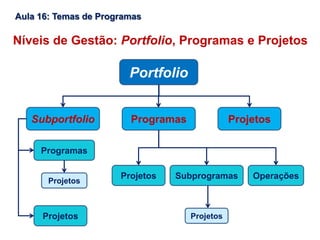 Aula 16: Temas de Programas
Portfolio
Subportfolio ProjetosProgramas
Subprogramas OperaçõesProjetos
ProjetosProjetos
Programas
Projetos
Níveis de Gestão: Portfolio, Programas e Projetos
 