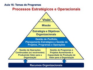 Aula 16: Temas de Programas
Visão
Missão
Estratégia e Objetivos
Organizacionais
Gestão de Portfolio,
Planejamento Estratégico e Gestão de
Projetos, Programas e Operações
Gestão de Operações
Continuadas (ou recorrentes)
Produzindo Valor para a
Organização
Gestão de Programas e
Projetos Aumentando a
Capacidade de Produção de
Valor para a Organização
Recursos Organizacionais
Processos Estratégicos e Operacionais
 