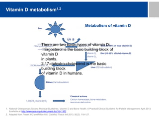 1. National Osteoporosis Society Practical Guidelines. Vitamin D and Bone Health: A Practical Clinical Guideline for Patient Management. April 2013.
Available at: http://www.nos.org.uk/document.doc?id=1352
2. Adapted from Fraser WD and Milan AM. Calcified Tissue Intl 2013; 92(2): 118-127.
Vitamin D metabolism1,2
Metabolism of vitamin D
There are two basic types of vitamin D:
Ergosterol is the basic building block of
vitamin D
in plants.
2.17-dehydro-cholesterol is the basic
building block
of vitamin D in humans.
 