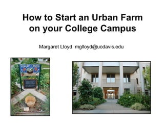 How to Start an Urban Farm
 on your College Campus
   Margaret Lloyd mglloyd@ucdavis.edu
 