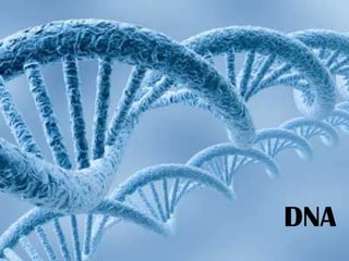 DNA

 