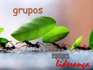 grupos

equipes

liderança

 