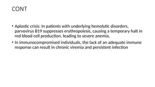 CONT
• Aplastic crisis: In patients with underlying hemolytic disorders,
parvovirus B19 suppresses erythropoiesis, causing a temporary halt in
red blood cell production, leading to severe anemia.
• In immunocompromised individuals, the lack of an adequate immune
response can result in chronic viremia and persistent infection
 