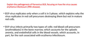 Explain the pathogenesis of Parvovirus B19, focusing on how the virus causes
erythema infectiosum (fifth disease).
• B19 virus replicates only when a cell is in S phase, which explains why the
virus replicates in red cell precursors destroying them but not in mature
red cells.
• B19 virus infects primarily two types of cells: red blood cell precursors
(erythroblasts) in the bone marrow, which accounts for the aplastic
anemia, and endothelial cells in the blood vessels, which accounts, in
part, for the rash associated with erythema infectiosum.
 