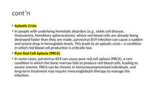 cont’n
• Aplastic Crisis
• In people with underlying hemolytic disorders (e.g., sickle cell disease,
thalassemia, hereditary spherocytosis), where red blood cells are already being
destroyed faster than they are made, parvovirus B19 infection can cause a sudden
and severe drop in hemoglobin levels. This leads to an aplastic crisis—a condition
in which red blood cell production is critically low.
• Pure Red Cell Aplasia (PRCA)
• In some cases, parvovirus B19 can cause pure red cell aplasia (PRCA), a rare
condition in which the bone marrow fails to produce red blood cells, leading to
severe anemia. PRCA can be chronic in immunocompromised individuals, and
long-term treatment may require immunoglobulin therapy to manage the
infection.
 
