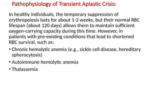 Pathophysiology of Transient Aplastic Crisis:
In healthy individuals, the temporary suppression of
erythropoiesis lasts for about 1-2 weeks, but their normal RBC
lifespan (about 120 days) allows them to maintain sufficient
oxygen-carrying capacity during this time. However, in
patients with pre-existing conditions that lead to shortened
RBC survival, such as:
• Chronic hemolytic anemia (e.g., sickle cell disease, hereditary
spherocytosis)
• Autoimmune hemolytic anemia
• Thalassemia
 