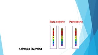 Chromosomal aberrations, utilization of aneuploids, chimeras and role ...