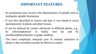 IMPORTANT FEATURES
 Its mechanism may involves the abnormalities of spindle such as
multipolar spindle formations.
 It was first described in insects and later it was found to occur
spontaneously in plants and plant tissues.
 It can be induced by certain chemicals in different plants, e.g.,
by chloramphenicol in barley root tip and by
paraflouorphenylalanine in grape seedling.
 The most completely analysed case of somatic reduction in
plants is that recorded recently by Brown in cotton.
 