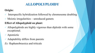 ALLOPOLYPLOIDY
Origin:
 Interspecific hybridization followed by chromosome doubling
 Meiotic irregularities – unreduced gamets
Effect of Allopolyploid on plant:
 Allopolyploids are highly vigorous than diploids with some
exceptional.
 Apomictic
 Adaptability differs from parents
Ex: Raphanobrassica and triticale
 