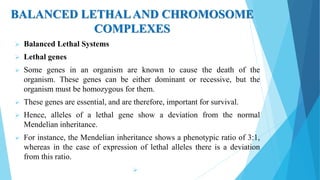 BALANCED LETHALAND CHROMOSOME
COMPLEXES
 Balanced Lethal Systems
 Lethal genes
 Some genes in an organism are known to cause the death of the
organism. These genes can be either dominant or recessive, but the
organism must be homozygous for them.
 These genes are essential, and are therefore, important for survival.
 Hence, alleles of a lethal gene show a deviation from the normal
Mendelian inheritance.
 For instance, the Mendelian inheritance shows a phenotypic ratio of 3:1,
whereas in the case of expression of lethal alleles there is a deviation
from this ratio.

 