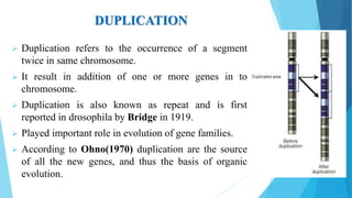 DUPLICATION
 Duplication refers to the occurrence of a segment
twice in same chromosome.
 It result in addition of one or more genes in to
chromosome.
 Duplication is also known as repeat and is first
reported in drosophila by Bridge in 1919.
 Played important role in evolution of gene families.
 According to Ohno(1970) duplication are the source
of all the new genes, and thus the basis of organic
evolution.
 