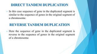 DIRECT TANDEM DUPLICATION
 In this case sequence of gene in the duplicated segment is
similar to the sequence of genes in the original segment of
a chromosome.
 Here the sequence of gene in the duplicated segment is
reverse to the sequence of genes in the original segment
of a chromosome.
REVERSE TANDEM DUPLICATION
 