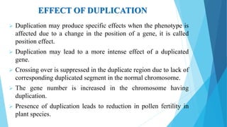 EFFECT OF DUPLICATION
 Duplication may produce specific effects when the phenotype is
affected due to a change in the position of a gene, it is called
position effect.
 Duplication may lead to a more intense effect of a duplicated
gene.
 Crossing over is suppressed in the duplicate region due to lack of
corresponding duplicated segment in the normal chromosome.
 The gene number is increased in the chromosome having
duplication.
 Presence of duplication leads to reduction in pollen fertility in
plant species.
 