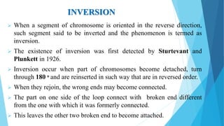 INVERSION
 When a segment of chromosome is oriented in the reverse direction,
such segment said to be inverted and the phenomenon is termed as
inversion.
 The existence of inversion was first detected by Sturtevant and
Plunkett in 1926.
 Inversion occur when part of chromosomes become detached, turn
through 180 ͦ and are reinserted in such way that are in reversed order.
 When they rejoin, the wrong ends may become connected.
 The part on one side of the loop connect with broken end different
from the one with which it was formerly connected.
 This leaves the other two broken end to become attached.
 