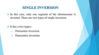 SINGLE INVERSION
 In this case, only one segment of the chromosome is
inverted. There are two types of single inversion.
 It has a two types:-
a) Pericentric inversion
b) Paracentric inversion
 