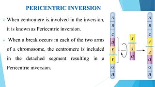 PERICENTRIC INVERSION
 When centromere is involved in the inversion,
it is known as Pericentric inversion.
 When a break occurs in each of the two arms
of a chromosome, the centromere is included
in the detached segment resulting in a
Pericentric inversion.
 