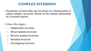 COMPLEX INVERSION
 Occurrence of more than one inversion in a chromosomes is
called complex inversion. Based on the mutual relationship
of a inverted regions.
 It has a five types:-
a) Independent inversion
b) Direct tandom inversion
c) Reverse tandom inversion
d) Included inversion
e) Overlapping inversion
 