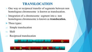 TRANSLOCATION
 One way or reciprocal transfer of segments between non
homologous chromosome is known as translocation.
 Integration of a chromosome segment into a non
homologous chromosome is known as translocation.
 Three types:
a) Simple translocation
b) Shift
c) Reciprocal translocation
 