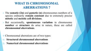 WHAT IS CHROMOSOMAL
ABERRATIONS ?
 The somatic (2n) and gametic (n) chromosomes numbers of a
species ordinarily remain constant due to extremely precise
mitotic and meiotic cell divisions.
 But occasionally, spontaneous variation in chromosome
number or structure do arise in nature, these are called
chromosomal aberrations.
 Chromosomal aberrations are of two types:
1) Structural chromosomal aberrations
2) Numerical chromosomal aberrations
 