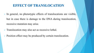 EFFECT OF TRANSLOCATION
 In general, no phenotypic effects of translocations are visible,
but in case there is damage to the DNA during translocation,
recessive mutation may arise.
 Translocation may also act as recessive lethal.
 Position effect may be produced by certain translocation.
 