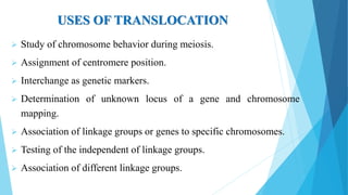 USES OF TRANSLOCATION
 Study of chromosome behavior during meiosis.
 Assignment of centromere position.
 Interchange as genetic markers.
 Determination of unknown locus of a gene and chromosome
mapping.
 Association of linkage groups or genes to specific chromosomes.
 Testing of the independent of linkage groups.
 Association of different linkage groups.
 