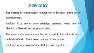 EUPLOIDY
 The change in chromosome number which involves entire set of
chromosomes.
 Euploids have one or more complete genomes, which may be
identical with or distinct from each other.
 The somatic chromosome number of a euploid individual is exact
multiple of basic chromosome number of that species.
 Euploidy includes monoploids, diploids and polyploids.
 