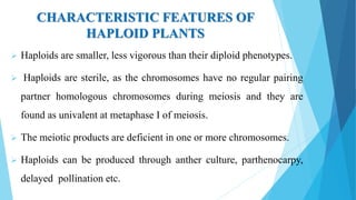 CHARACTERISTIC FEATURES OF
HAPLOID PLANTS
 Haploids are smaller, less vigorous than their diploid phenotypes.
 Haploids are sterile, as the chromosomes have no regular pairing
partner homologous chromosomes during meiosis and they are
found as univalent at metaphase I of meiosis.
 The meiotic products are deficient in one or more chromosomes.
 Haploids can be produced through anther culture, parthenocarpy,
delayed pollination etc.
 
