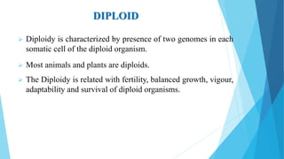 DIPLOID
 Diploidy is characterized by presence of two genomes in each
somatic cell of the diploid organism.
 Most animals and plants are diploids.
 The Diploidy is related with fertility, balanced growth, vigour,
adaptability and survival of diploid organisms.
 