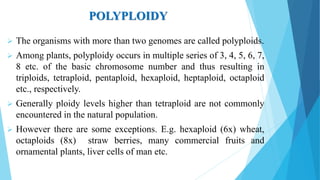 POLYPLOIDY
 The organisms with more than two genomes are called polyploids.
 Among plants, polyploidy occurs in multiple series of 3, 4, 5, 6, 7,
8 etc. of the basic chromosome number and thus resulting in
triploids, tetraploid, pentaploid, hexaploid, heptaploid, octaploid
etc., respectively.
 Generally ploidy levels higher than tetraploid are not commonly
encountered in the natural population.
 However there are some exceptions. E.g. hexaploid (6x) wheat,
octaploids (8x) straw berries, many commercial fruits and
ornamental plants, liver cells of man etc.
 