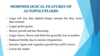 MORPHOLOGICAL FEATURES OF
AUTOPOLYPLOIDS
 Large cell size than diploid (larger stomata but freq. lower
than normal).
 Larger pollen grains.
 Slower growth and late flowering.
 Larger leaves, flower and fruits but generally less in number.
 Reduced fertility due to meiotic irregularities.
 Increase vigour and vegetative growth but yield is lower.
 Lower dry matter.
 