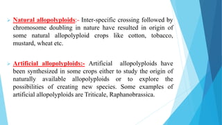  Natural allopolyploids:- Inter-specific crossing followed by
chromosome doubling in nature have resulted in origin of
some natural allopolyploid crops like cotton, tobacco,
mustard, wheat etc.
 Artificial allopolyploids:- Artificial allopolyploids have
been synthesized in some crops either to study the origin of
naturally available allopolyploids or to explore the
possibilities of creating new species. Some examples of
artificial allopolyploids are Triticale, Raphanobrassica.
 