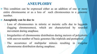 ANEUPLOIDY
 This condition can be expressed either as an addition of one or more
entire chromosome or as a loss of such chromosomes to a genomic
number.
 Aneuploidy can be due to
1. Loss of chromosomes in mitotic or meiotic cells due to laggards
(lagging chromosomes), which are characterized by retarded
movement during anaphase.
2. Irregularities of chromosome distribution during meiosis of polyploids
with uneven number of basic genomes like triploids and pentaploid.
3. The occurrence of multipolar mitosis resulting in irregular
chromosome distribution during anaphase.
 