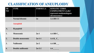 CLASSIFICATION OF ANEUPLOIDY
SR
NO
TYPE FORMULA SOMATIC CHRO.
COMPLEMENT (A,B,C
represent nonhomologous
chromosomes)
Normal disomic 2n AA BB CC
Aneuploid
A. Hypoploid
1. Monosomic 2n-1 AA BB C_
2. Double monosomic 2n-1-1 AA B_ C_
3. Nullisomic 2n-2 AA BB _ _
4. Double nullisomic 2n-2-2 AA _ _ _ _
 