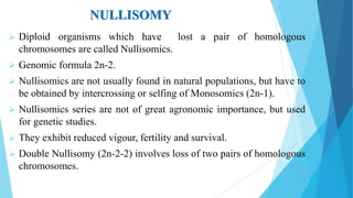 NULLISOMY
 Diploid organisms which have lost a pair of homologous
chromosomes are called Nullisomics.
 Genomic formula 2n-2.
 Nullisomics are not usually found in natural populations, but have to
be obtained by intercrossing or selfing of Monosomics (2n-1).
 Nullisomics series are not of great agronomic importance, but used
for genetic studies.
 They exhibit reduced vigour, fertility and survival.
 Double Nullisomy (2n-2-2) involves loss of two pairs of homologous
chromosomes.
 