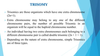TRISOMY
 Trisomics are those organisms which have one extra chromosome
(2n+1).
 Extra chromosome may belong to any one of the different
chromosome pairs, the number of possible Trisomic in an
organism will be equal to the haploid chromosome number.
 An individual having two extra chromosomes each belonging to a
different chromosome pair is called double trisomic (2n + 1 + 1).
 Depending on the nature of extra chromosome, simple Trisomics
are of three types.
 