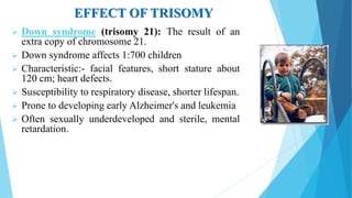 EFFECT OF TRISOMY
 Down syndrome (trisomy 21): The result of an
extra copy of chromosome 21.
 Down syndrome affects 1:700 children
 Characteristic:- facial features, short stature about
120 cm; heart defects.
 Susceptibility to respiratory disease, shorter lifespan.
 Prone to developing early Alzheimer's and leukemia
 Often sexually underdeveloped and sterile, mental
retardation.
 