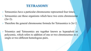 TETRASOMY
 Tetrasomics have a particular chromosome represented four times.
 Tetrasomics are those organisms which have two extra chromosome
(2n+2).
 Therefore the general chromosome formula for Tetrasomics is 2n+2.
 Trisomics and Tetrasomics are together known as hyperploid or
polysomic, which refers to addition of one or two chromosomes to a
single or two different homologous pairs.
 
