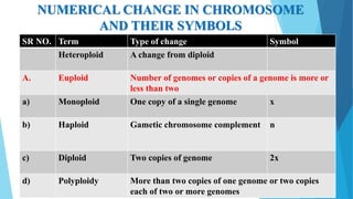 NUMERICAL CHANGE IN CHROMOSOME
AND THEIR SYMBOLS
SR NO. Term Type of change Symbol
Heteroploid A change from diploid
A. Euploid Number of genomes or copies of a genome is more or
less than two
a) Monoploid One copy of a single genome x
b) Haploid Gametic chromosome complement n
c) Diploid Two copies of genome 2x
d) Polyploidy More than two copies of one genome or two copies
each of two or more genomes
 